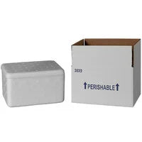 Insulated small cooler box